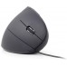 Мышь Gembird MUS-ERGO-01 USB black Б/У